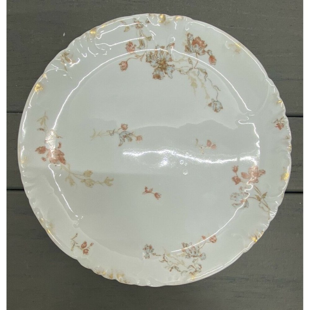 Haviland Limoges H & Co L France 12 3/8" Hand Painted Floral Plate Pink And Blue
